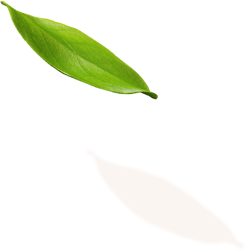 massage spa pondicherry